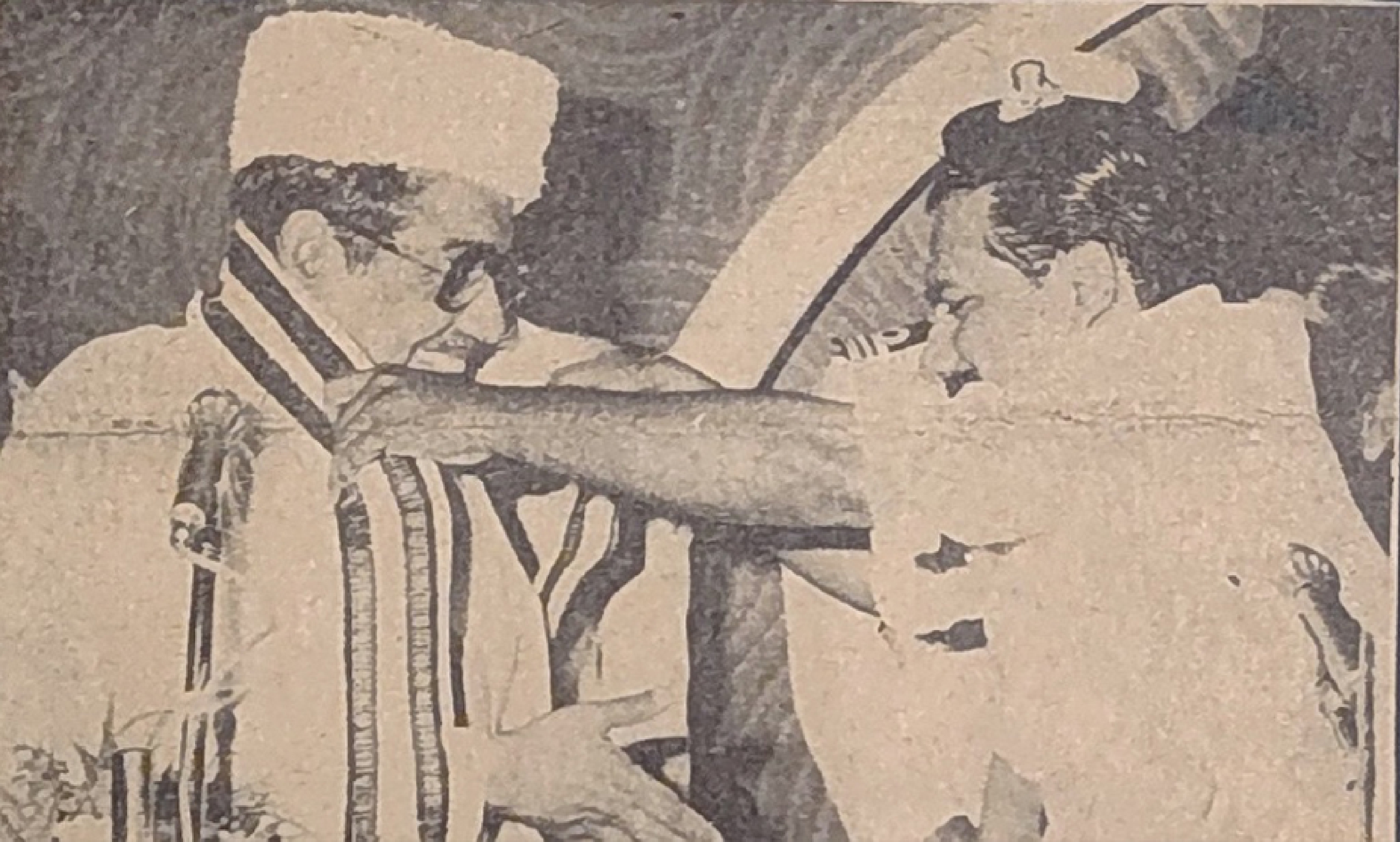 ജീവൻ തുടിക്കുന്ന  മുദ്രകൾ   